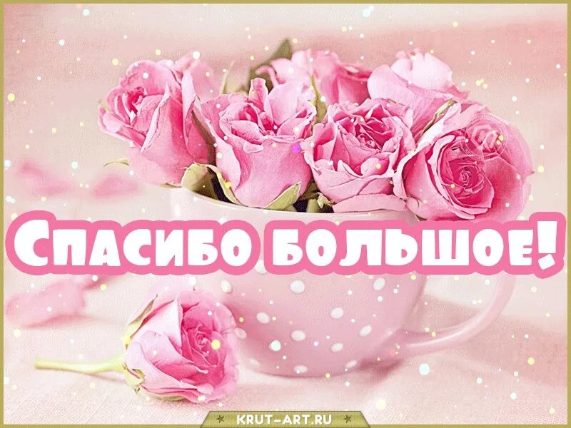 Card image 1