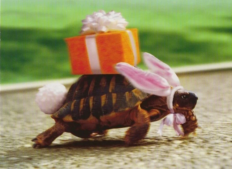 Card image 1