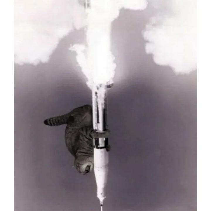 Card image 1