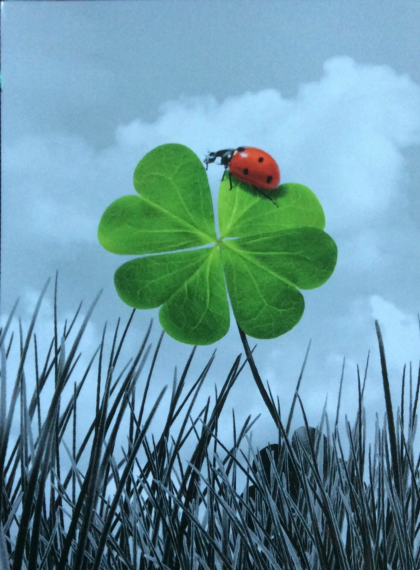 Card image 1