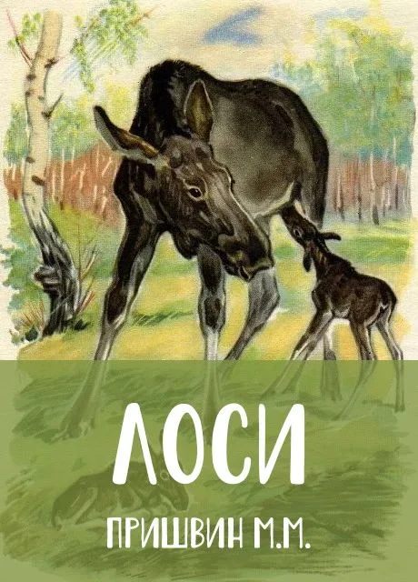 Card image 1