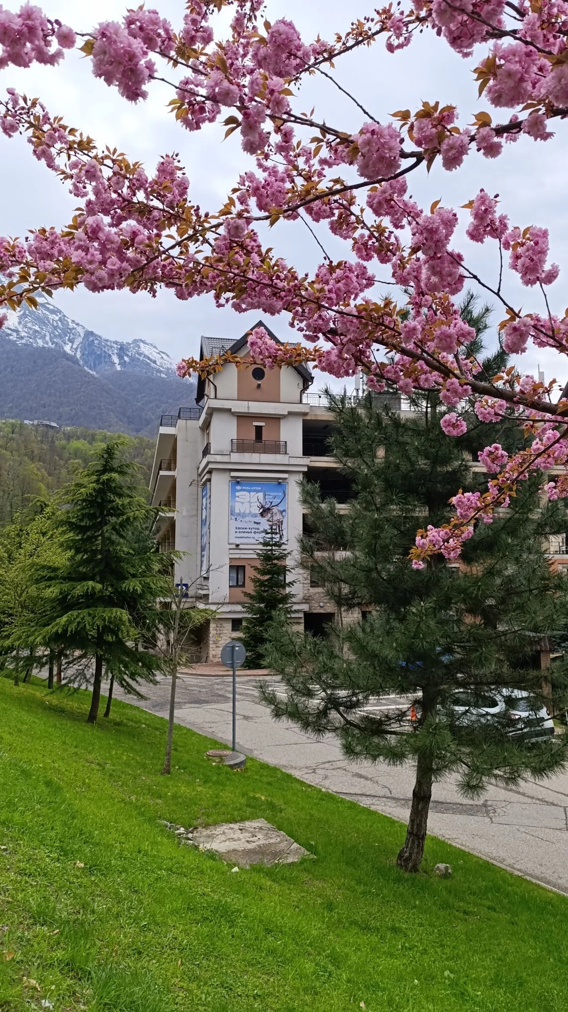 Card image 3