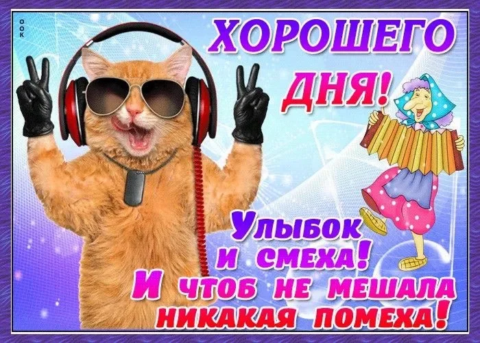 Card image 2