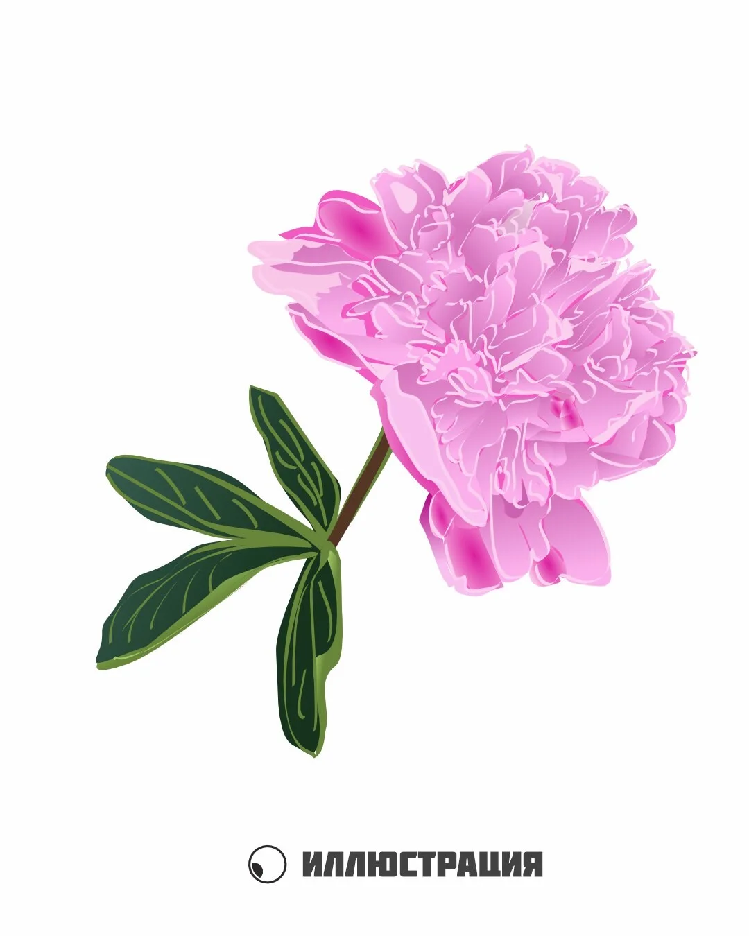 Card image 3