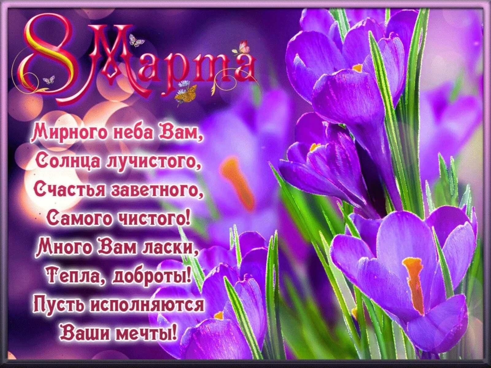 Card image 2