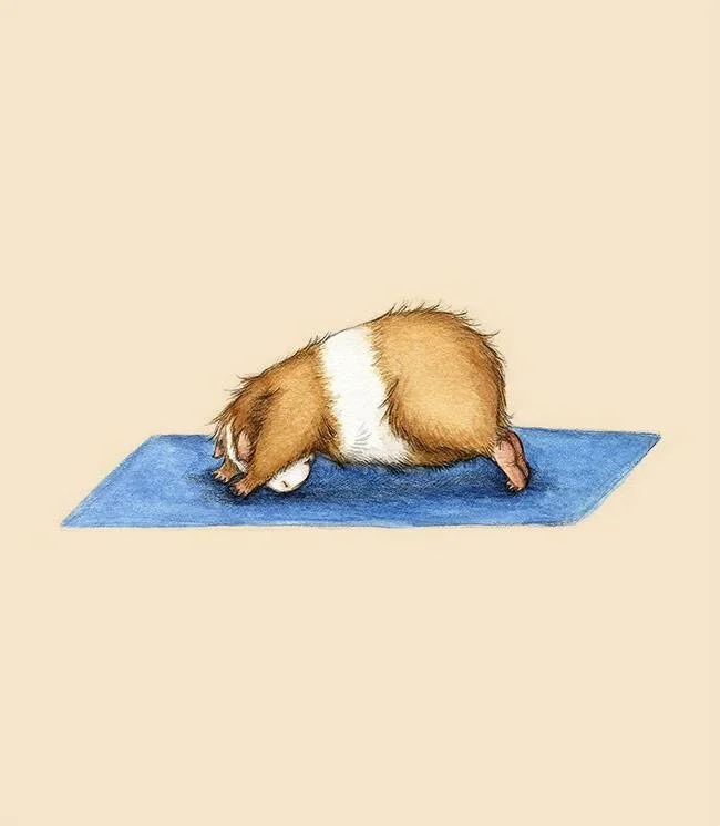 Card image 1