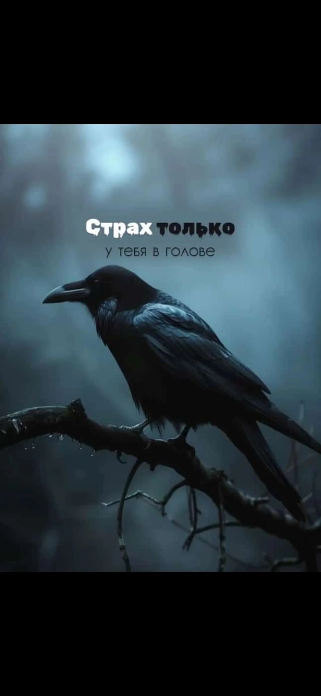 Card image 1