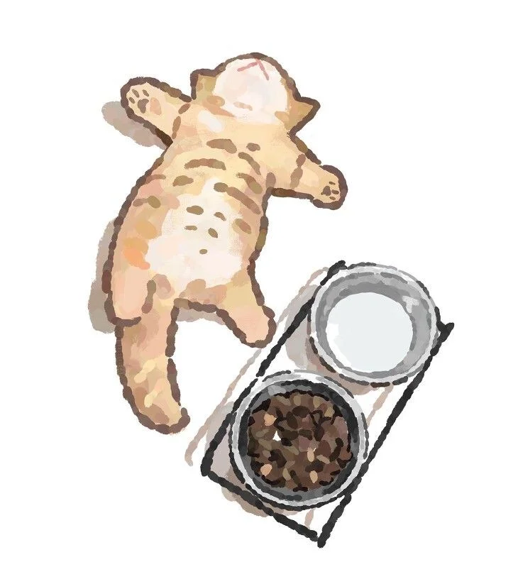 Card image 3