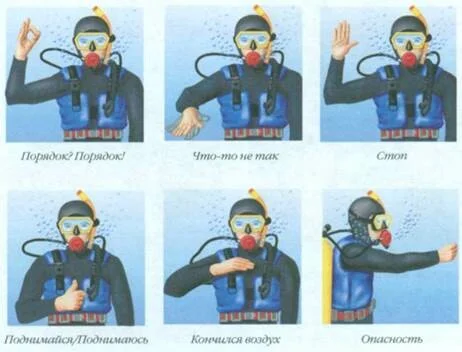 Card image 1