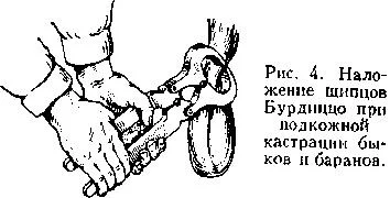 Card image 1