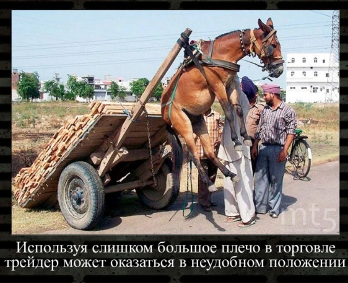 Card image 1