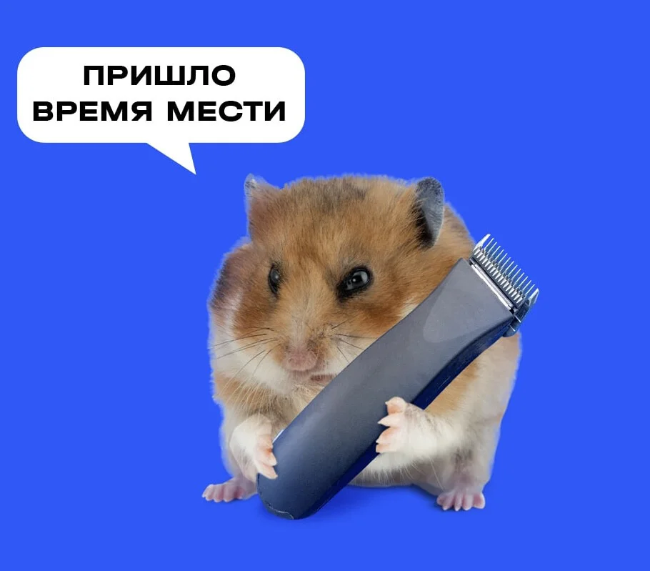 Card image 1