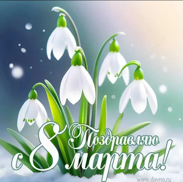 Card image 1