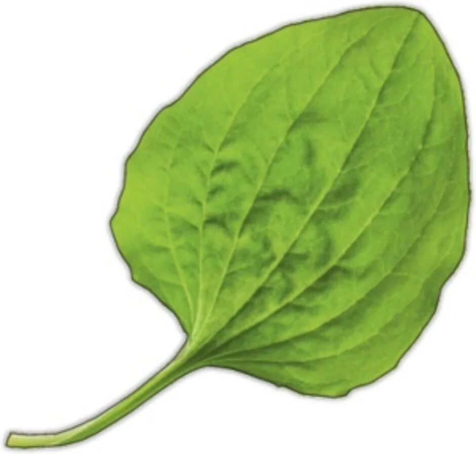 Card image 1