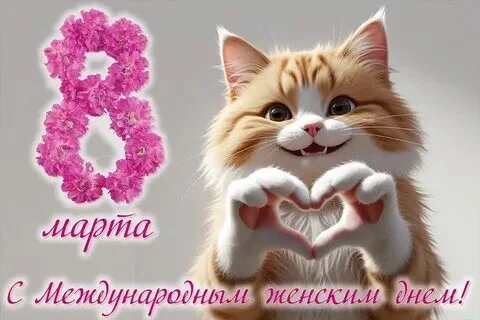 Card image 2