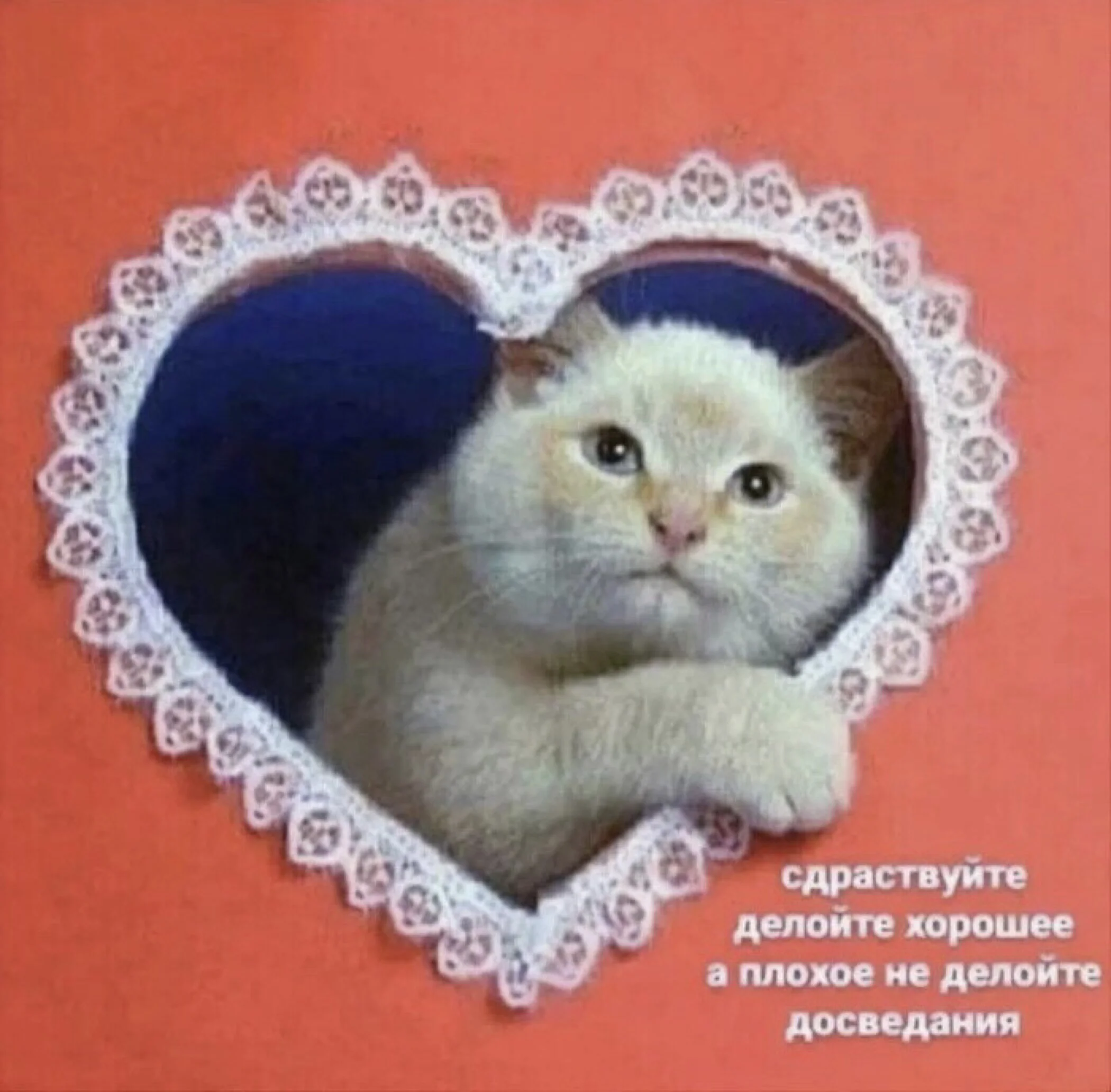 Card image 1