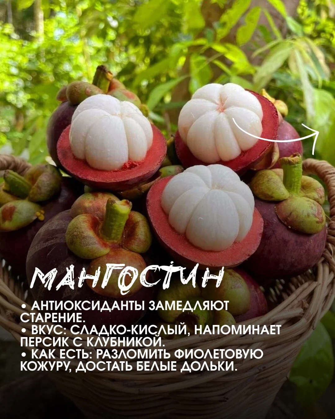 Card image 2