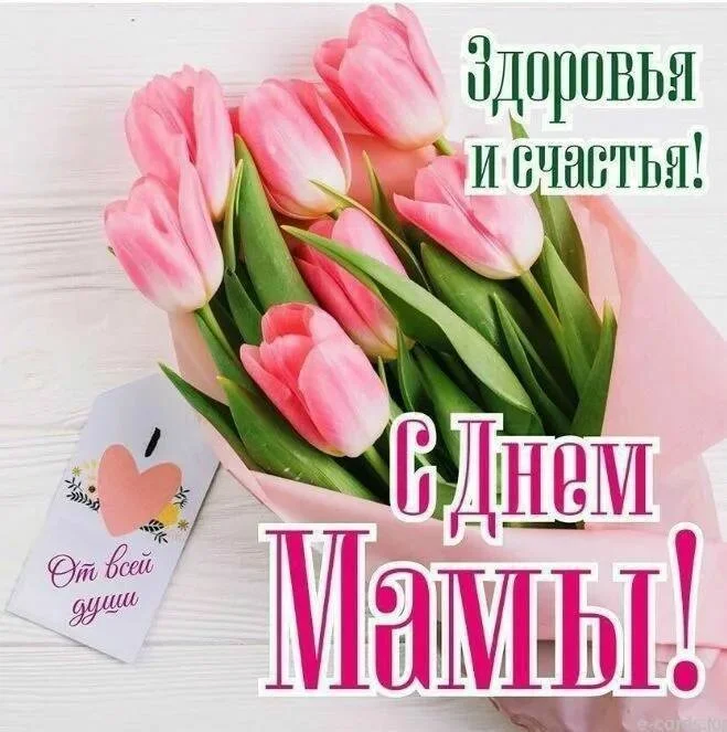 Card image 1