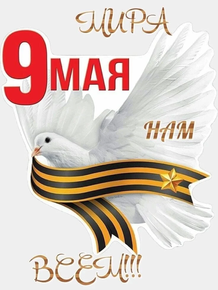 Card image 1