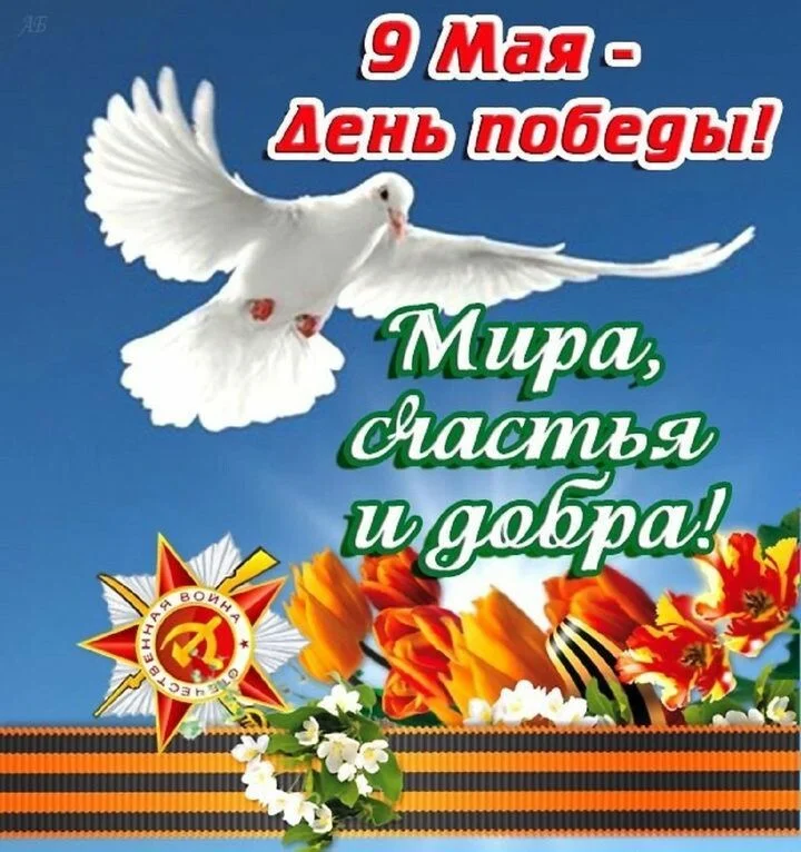 Card image 1