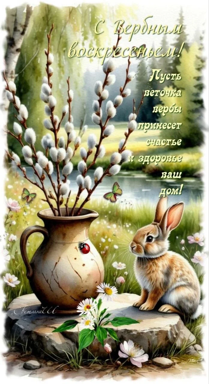 Card image 1