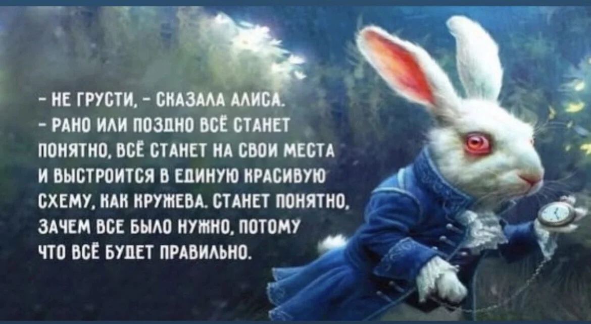 Card image 1