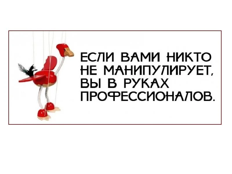 Card image 1