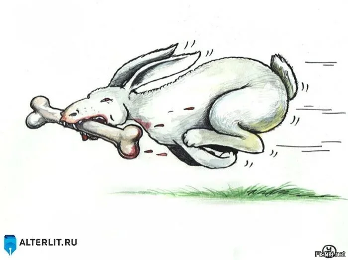 Card image 1
