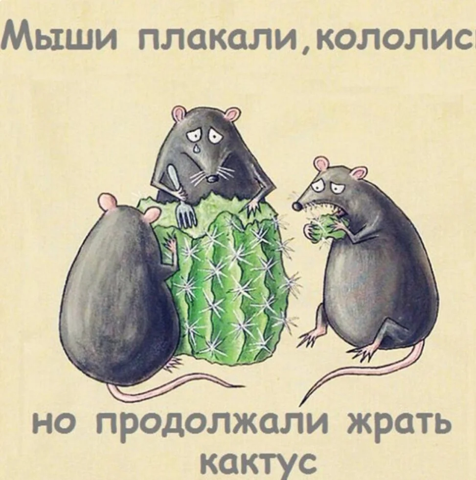 Card image 1