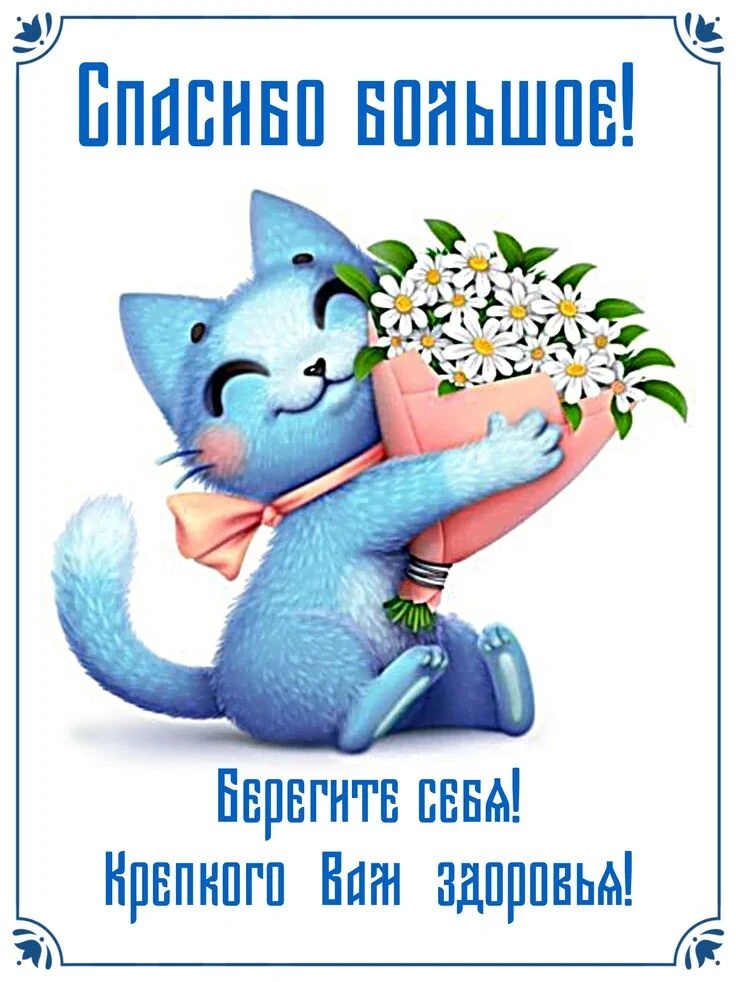 Card image 2