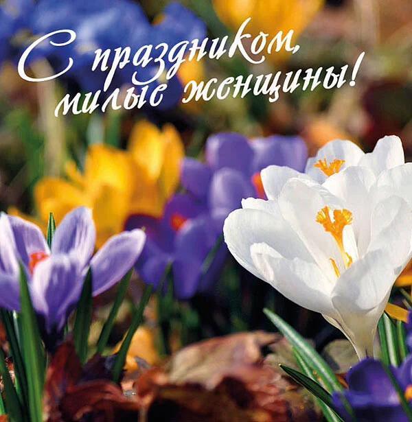 Card image 1