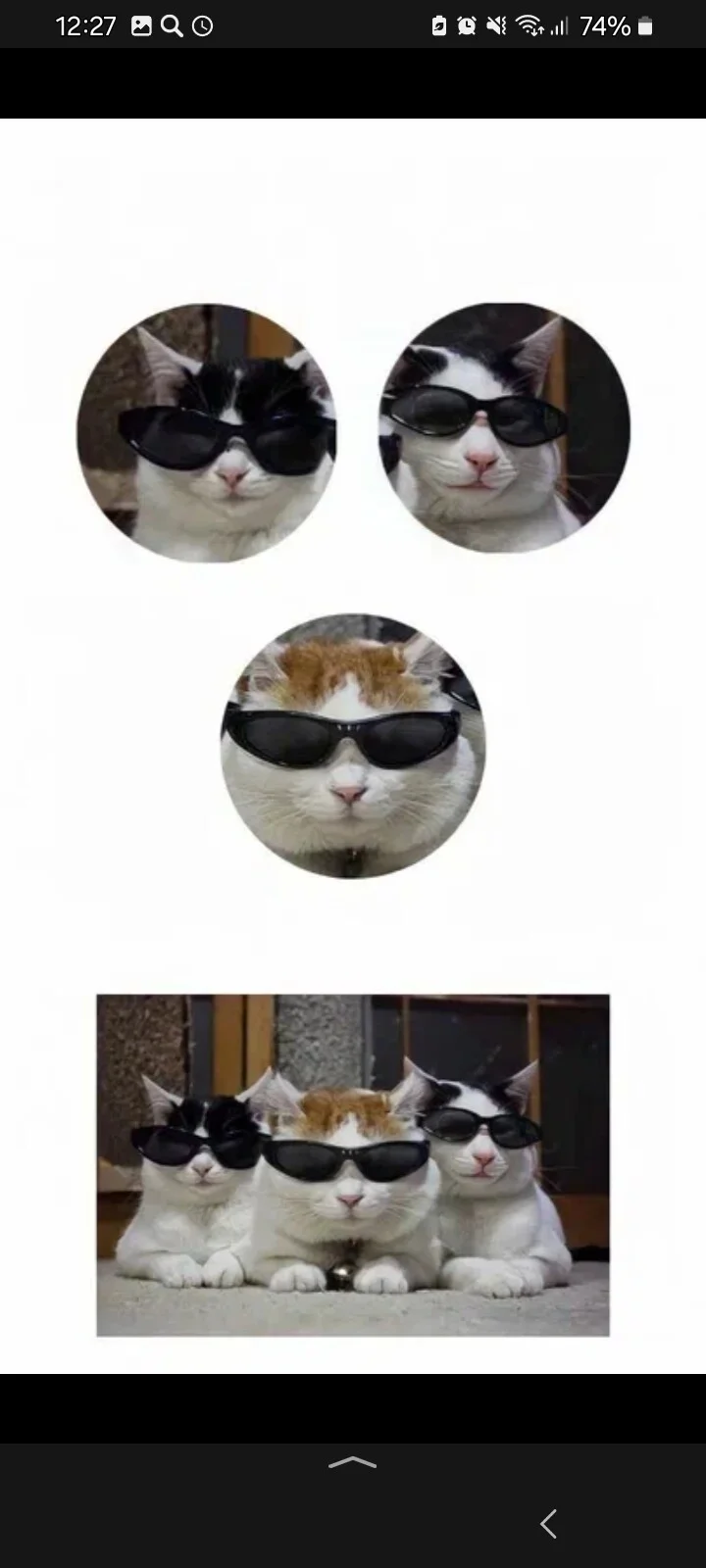 Card image 2