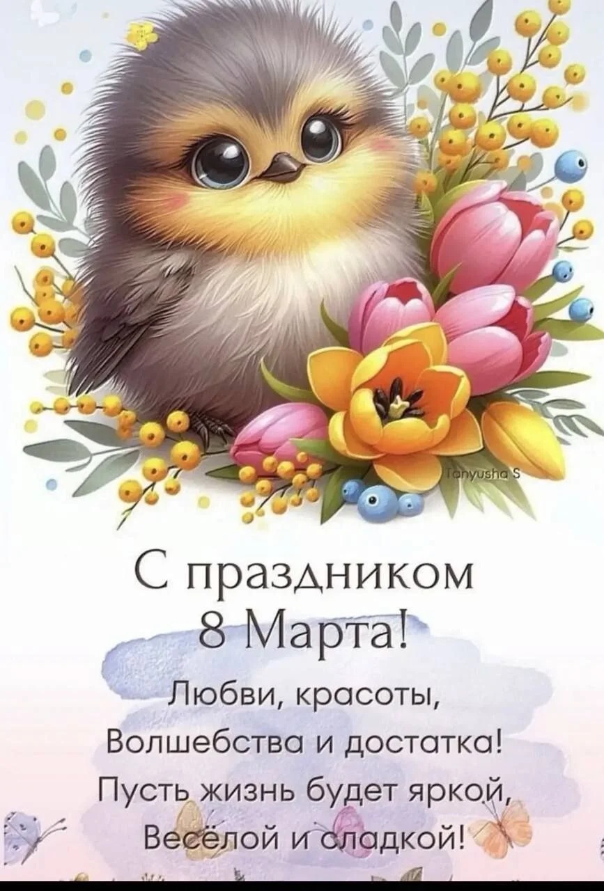 Card image 1