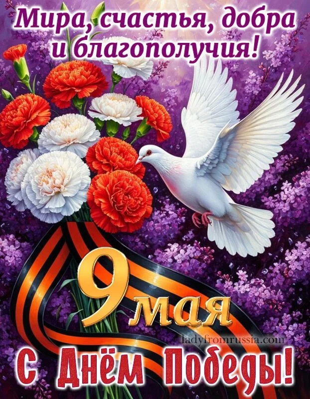 Card image 1