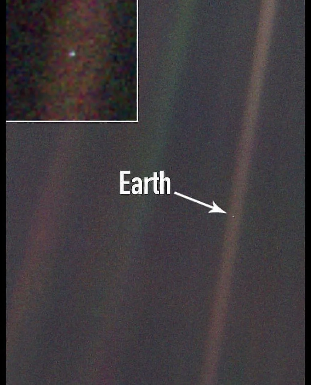 Card image 1