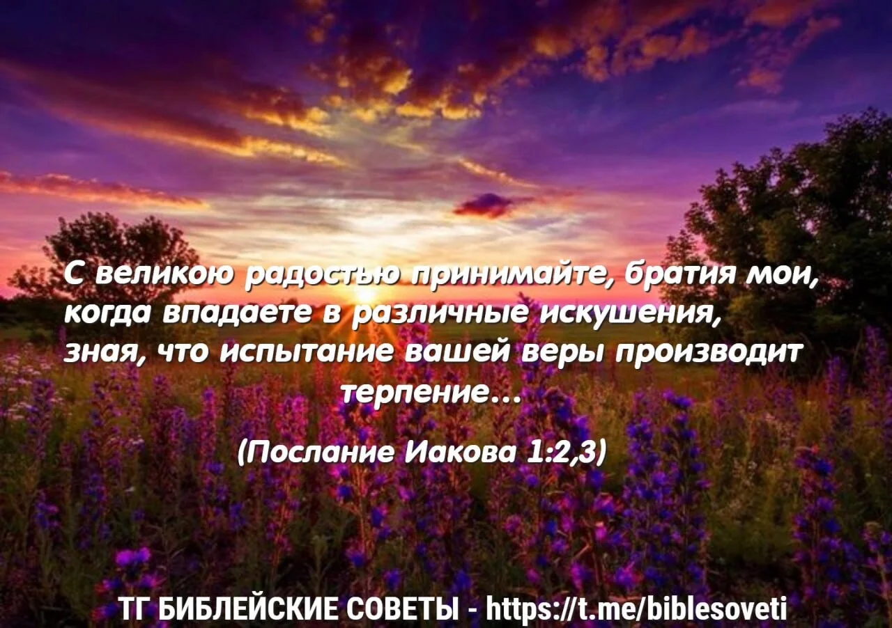 Card image 1