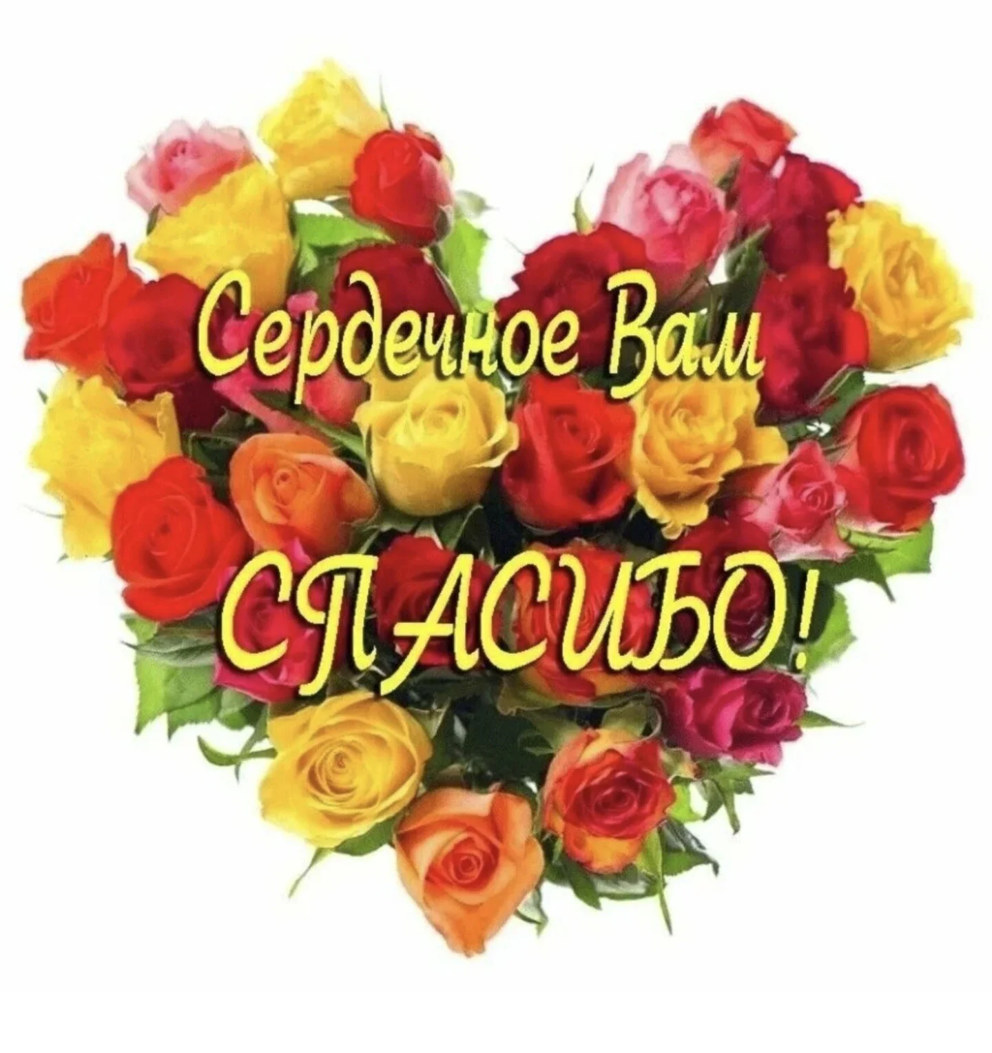 Card image 1