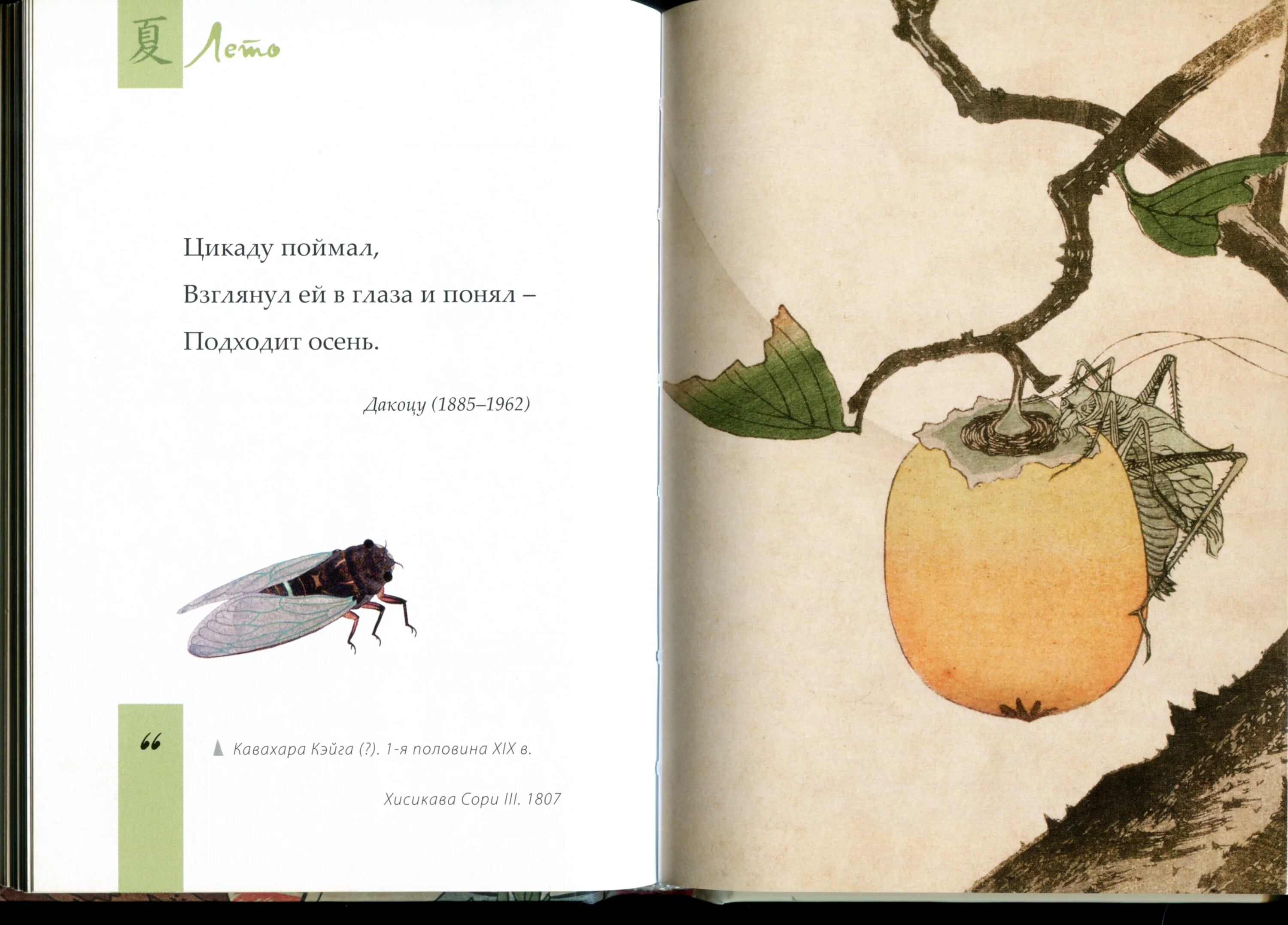 Card image 1