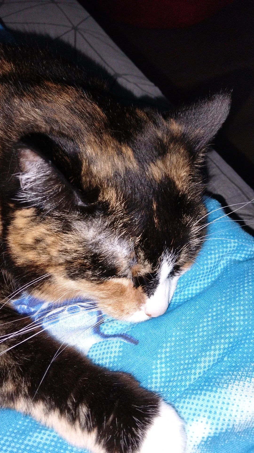 Card image 1