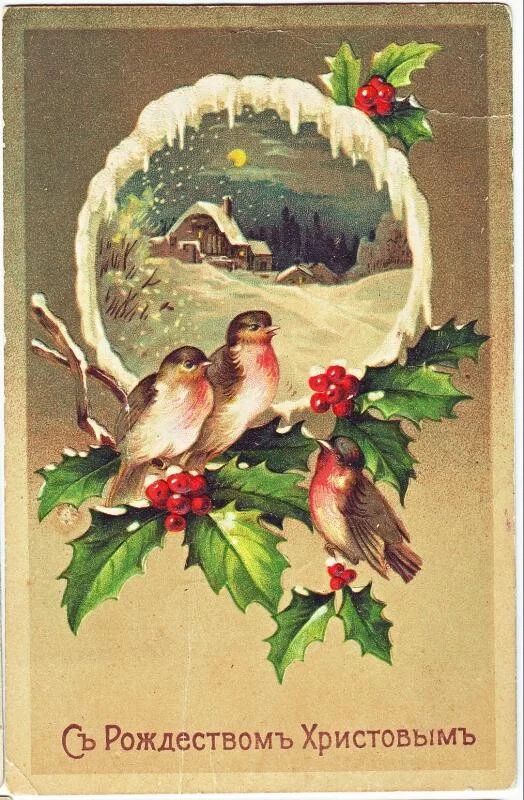 Card image 3