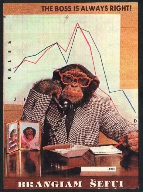 Card image 1