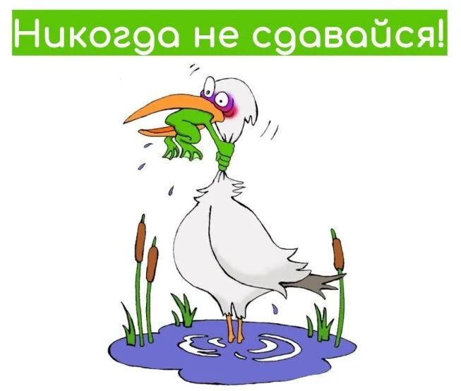 Card image 1