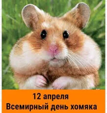 Card image 1