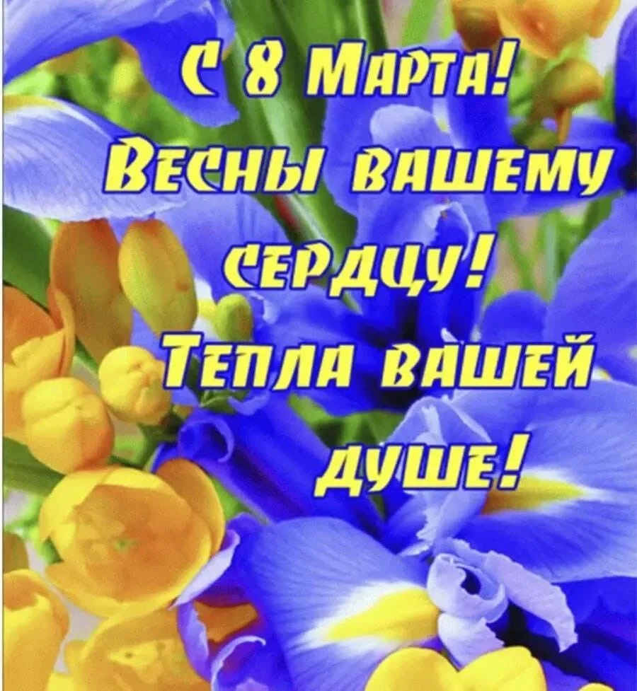 Card image 2