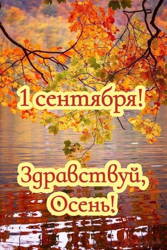 Card image 1