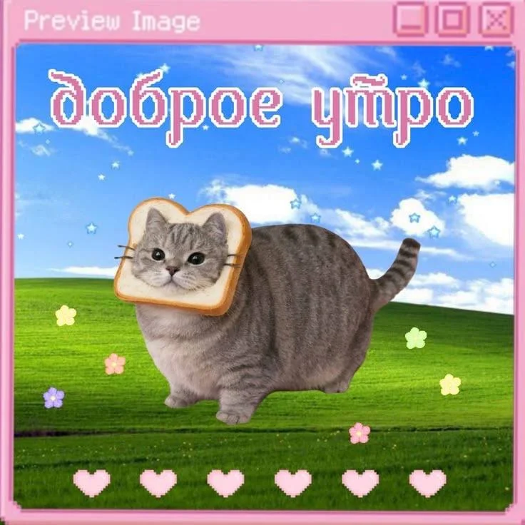Card image 1