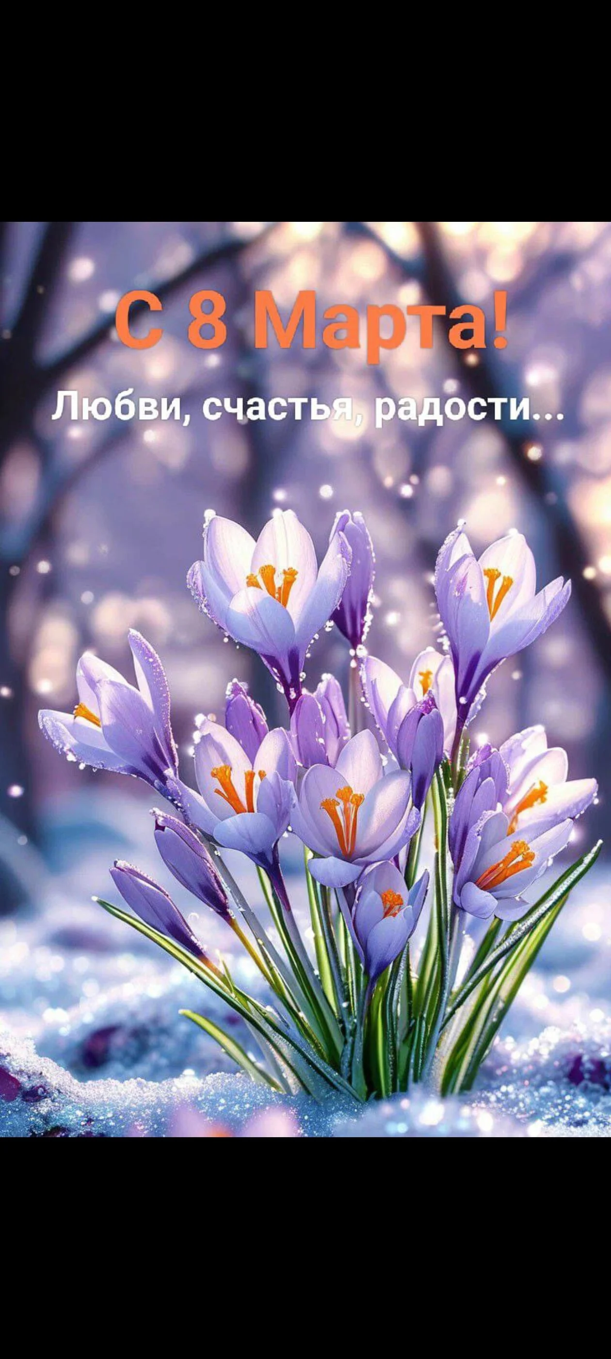 Card image 1