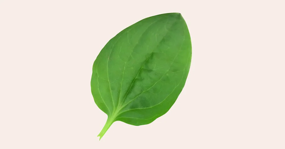 Card image 1