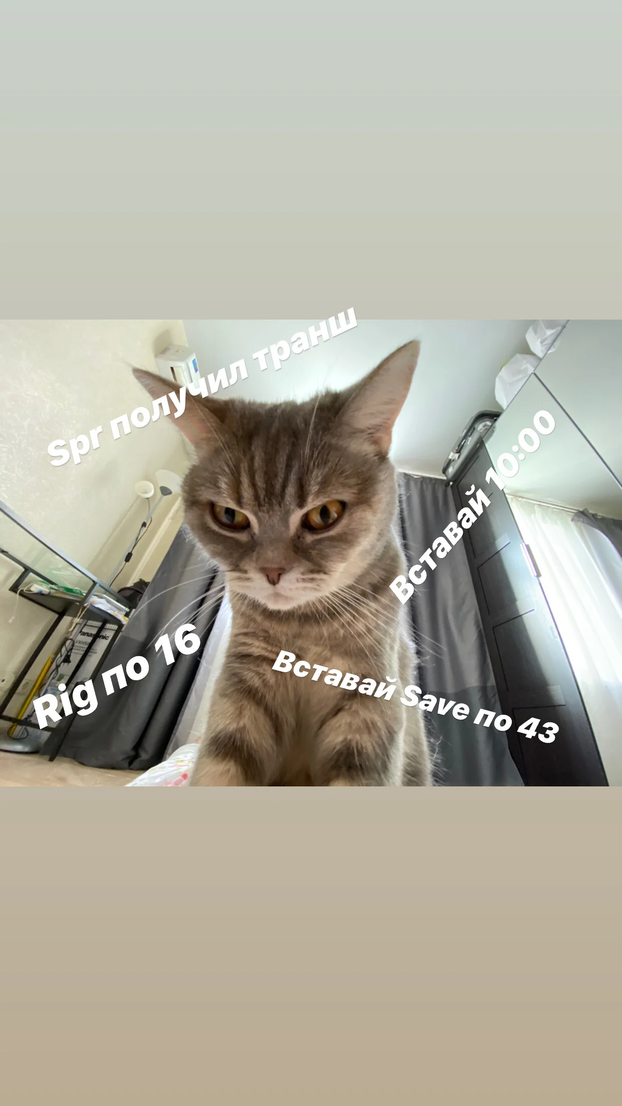 Card image 1