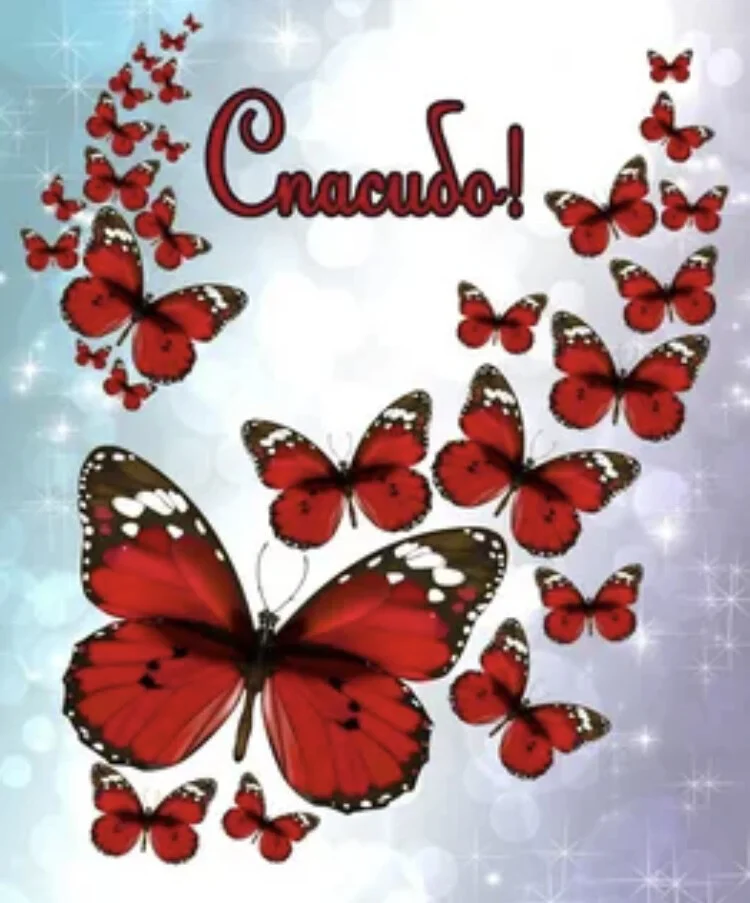 Card image 1